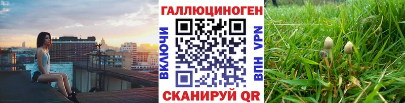 Галлюциногенные грибы Psilocybine cubensis  blacksprut tor  Красный Холм 
